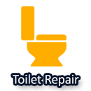 professonal toilet repair